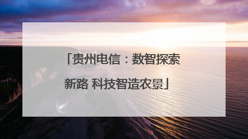 贵州电信：数智探索新路 科技智造农景