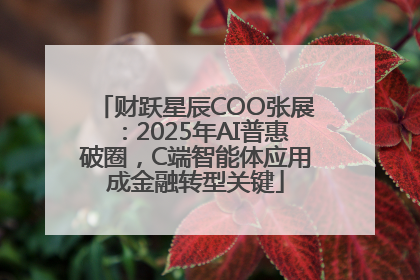 财跃星辰COO张展：2025年AI普惠破圈，C端智能体应用成金融转型关键