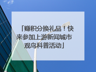 赚积分换礼品！快来参加上游新闻城市观鸟科普活动