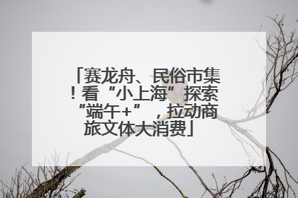 赛龙舟、民俗市集！看“小上海”探索“端午+”，拉动商旅文体大消费
