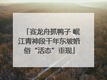 赛龙舟抓鸭子 岷江青神段千年东坡婚俗“活态”重现