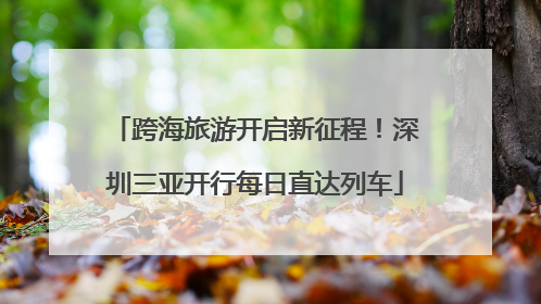 跨海旅游开启新征程！深圳三亚开行每日直达列车