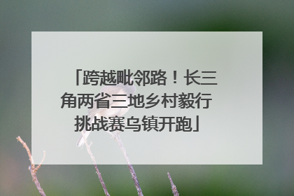 跨越毗邻路！长三角两省三地乡村毅行挑战赛乌镇开跑