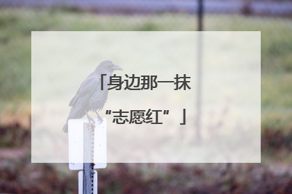 身边那一抹“志愿红”