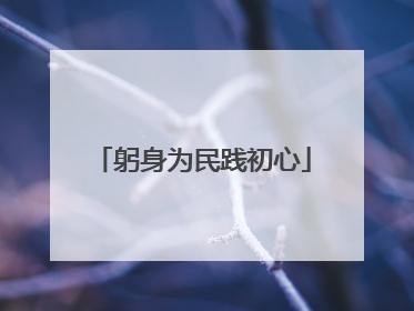 躬身为民践初心