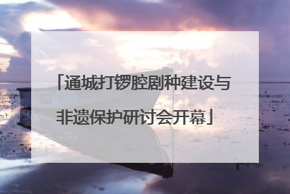 通城打锣腔剧种建设与非遗保护研讨会开幕