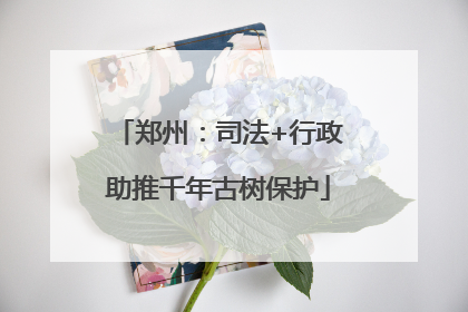 郑州：司法+行政助推千年古树保护