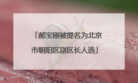 郝宝刚被提名为北京市朝阳区副区长人选