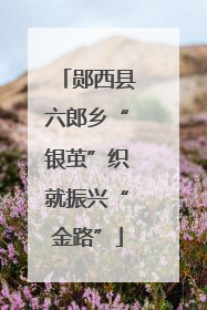 郧西县六郎乡“银茧”织就振兴“金路”