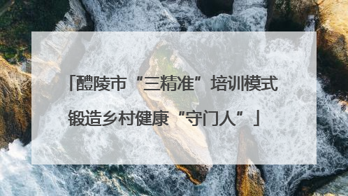 醴陵市“三精准”培训模式锻造乡村健康“守门人”