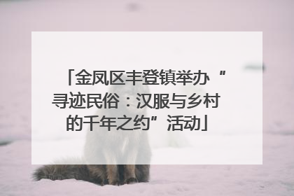 金凤区丰登镇举办“寻迹民俗：汉服与乡村的千年之约”活动