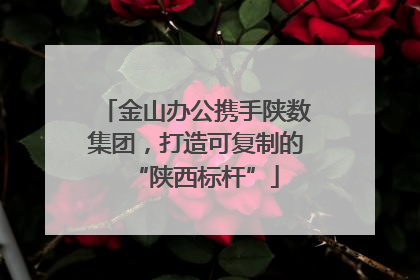 金山办公携手陕数集团，打造可复制的“陕西标杆”