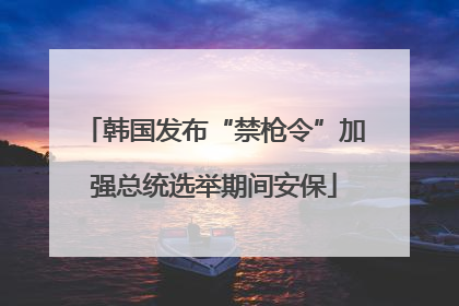 韩国发布“禁枪令”加强总统选举期间安保