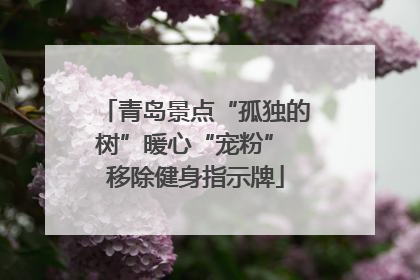 青岛景点“孤独的树”暖心“宠粉” 移除健身指示牌