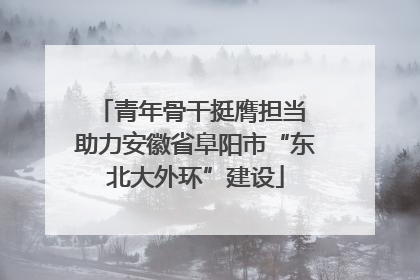 青年骨干挺膺担当 助力安徽省阜阳市“东北大外环”建设