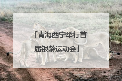 青海西宁举行首届银龄运动会