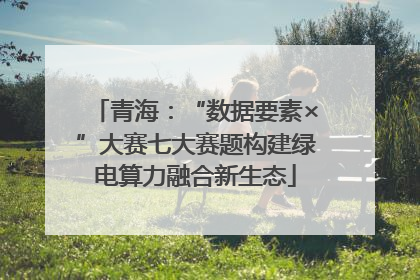 青海：“数据要素×”大赛七大赛题构建绿电算力融合新生态