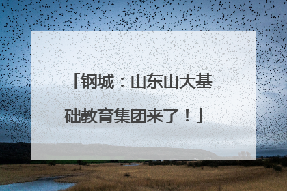 钢城：山东山大基础教育集团来了！