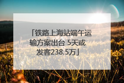 铁路上海站端午运输方案出台 5天或发客238.5万
