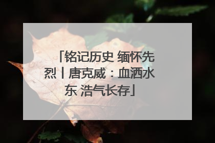 铭记历史 缅怀先烈丨唐克威：血洒水东 浩气长存
