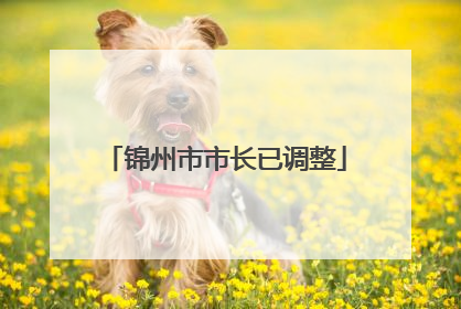 锦州市市长已调整
