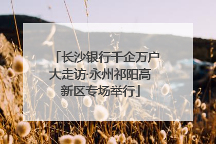 长沙银行千企万户大走访·永州祁阳高新区专场举行