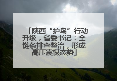 陕西“护鸟”行动升级，省委书记：全链条排查整治，形成高压震慑态势