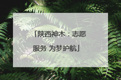 陕西神木：志愿服务 为梦护航