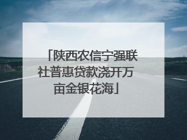 陕西农信宁强联社普惠贷款浇开万亩金银花海