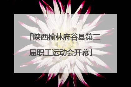 陕西榆林府谷县第三届职工运动会开幕