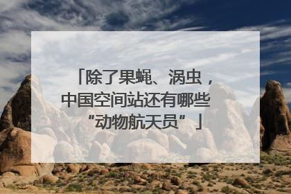 除了果蝇、涡虫，中国空间站还有哪些“动物航天员”