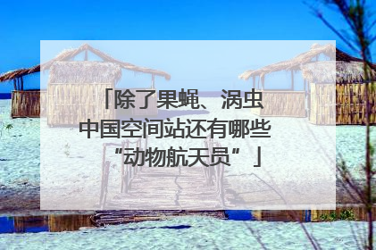 除了果蝇、涡虫 中国空间站还有哪些“动物航天员”