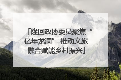 隆回政协委员聚焦“亿年龙洞” 推动文旅融合赋能乡村振兴