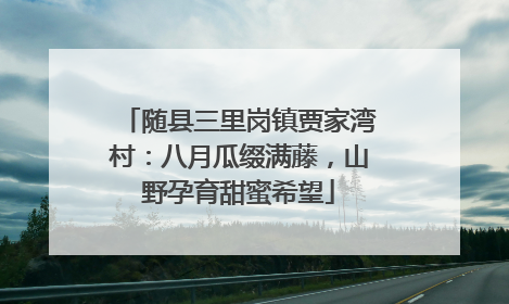 随县三里岗镇贾家湾村：八月瓜缀满藤，山野孕育甜蜜希望