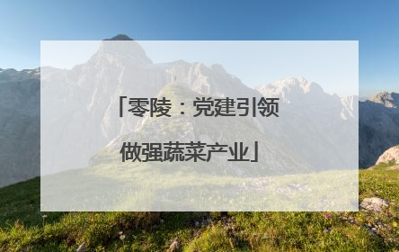 零陵：党建引领 做强蔬菜产业