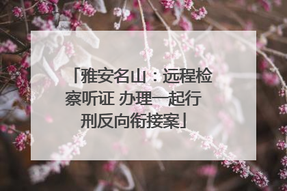 雅安名山：远程检察听证 办理一起行刑反向衔接案
