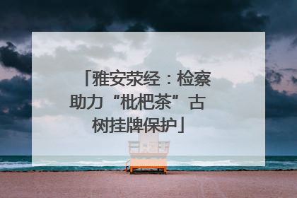 雅安荥经：检察助力“枇杷茶”古树挂牌保护