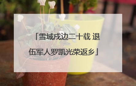 雪域戍边二十载 退伍军人罗凯光荣返乡