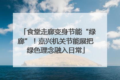 食堂走廊变身节能“绿廊”！嘉兴机关节能展把绿色理念融入日常