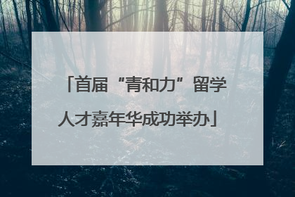 首届“青和力”留学人才嘉年华成功举办