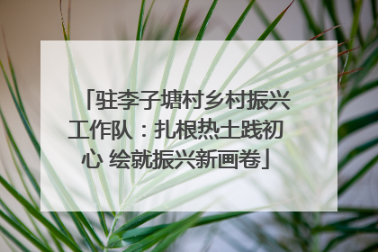 驻李子塘村乡村振兴工作队：扎根热土践初心 绘就振兴新画卷