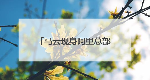 马云现身阿里总部，前往“湖畔小屋”再看创业之地！吴泳铭：接下来将以饱和式投入的打法，聚焦于几大核心战役