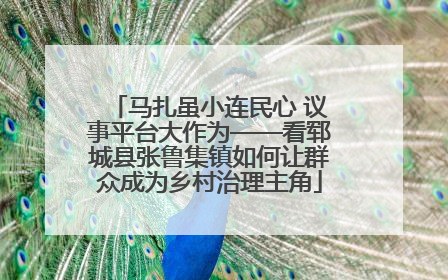 马扎虽小连民心 议事平台大作为——看郓城县张鲁集镇如何让群众成为乡村治理主角