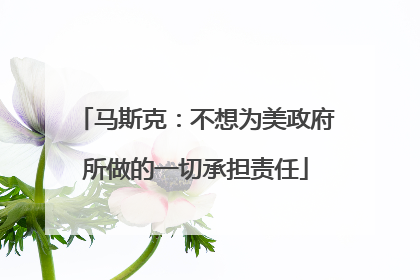 马斯克：不想为美政府所做的一切承担责任