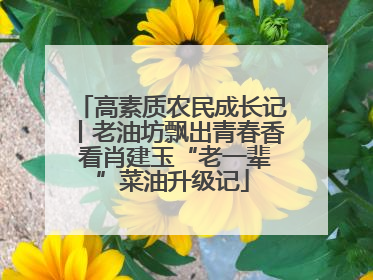 高素质农民成长记丨老油坊飘出青春香 看肖建玉“老一辈”菜油升级记
