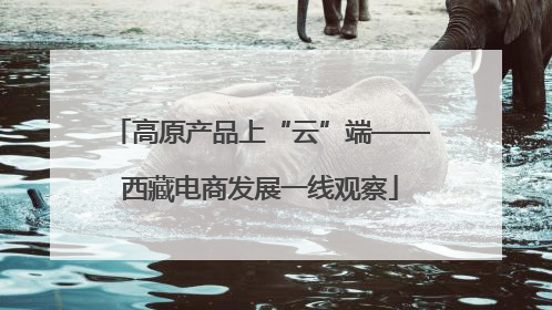 高原产品上“云”端——西藏电商发展一线观察