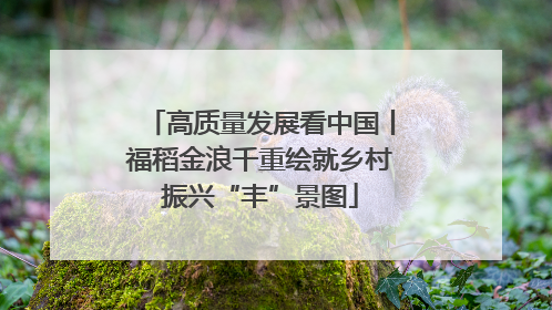 高质量发展看中国丨福稻金浪千重绘就乡村振兴“丰”景图