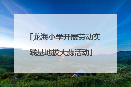龙海小学开展劳动实践基地拔大蒜活动