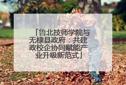 鲁北技师学院与无棣县政府：共建政校企协同赋能产业升级新范式