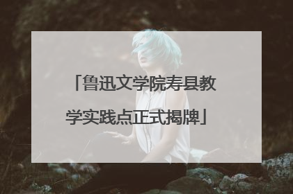 鲁迅文学院寿县教学实践点正式揭牌